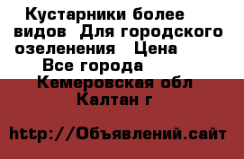 Кустарники более 100 видов. Для городского озеленения › Цена ­ 70 - Все города  »    . Кемеровская обл.,Калтан г.